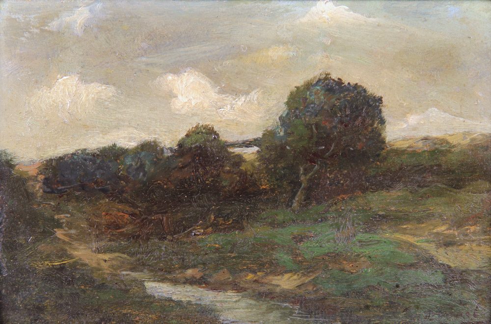  'PAISAJE'