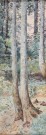 Lote 206: 'BOSQUE' 'BOSQUE'