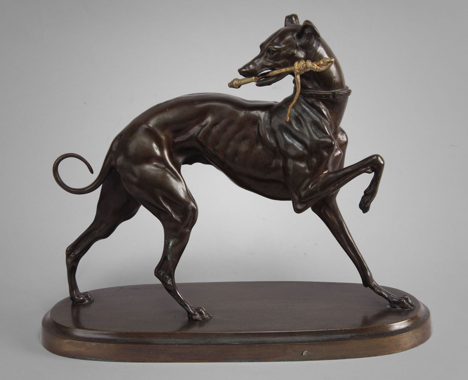  'GALGO CON CETRO' 