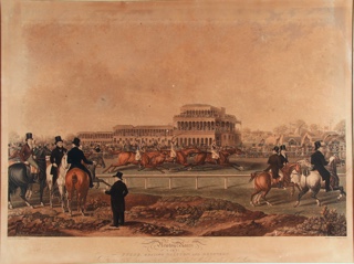 Lote 96: 'NEWTON RACES'  'NEWTON RACES' 