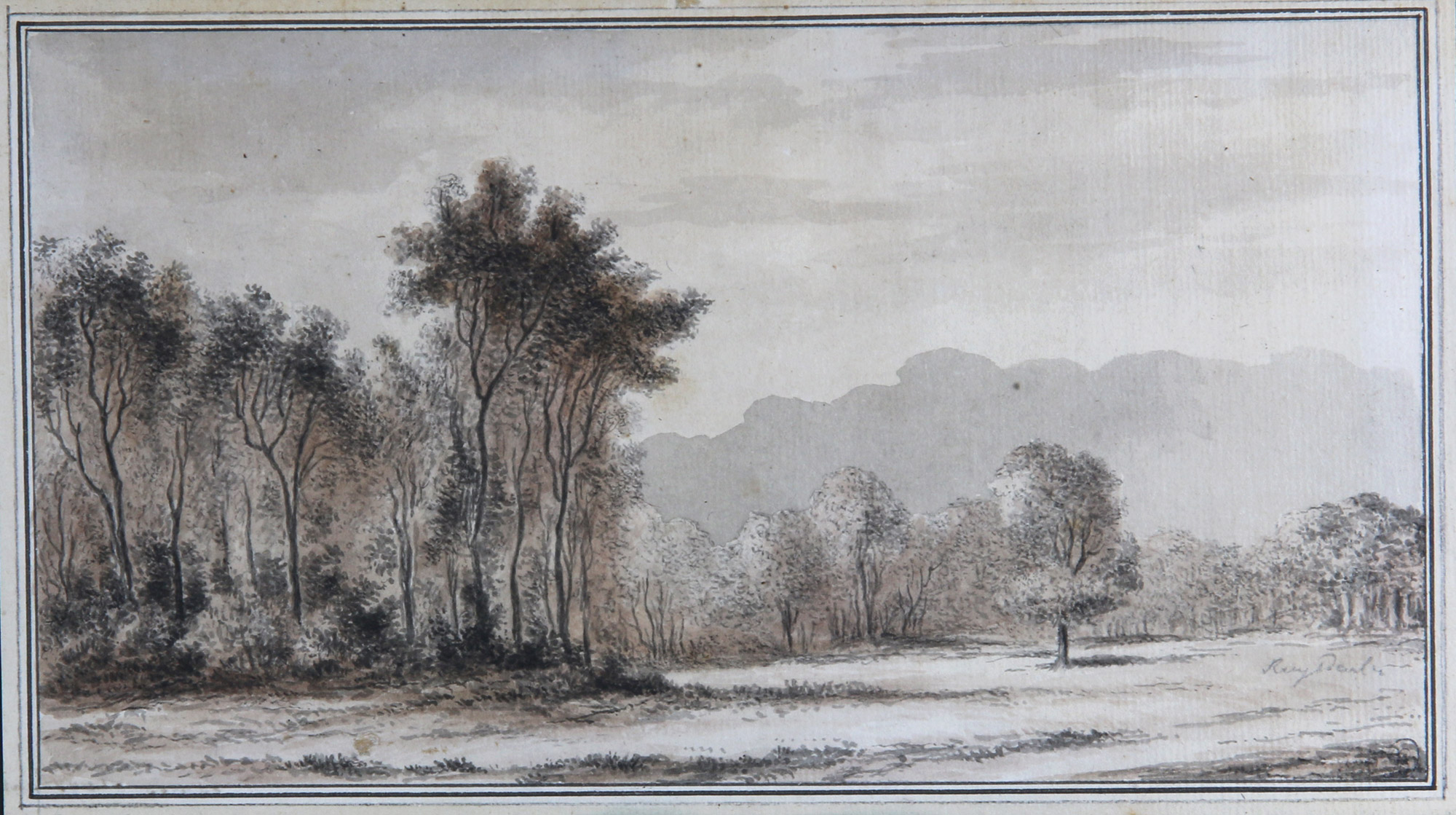  'PAISAJE ARBOLADO' 