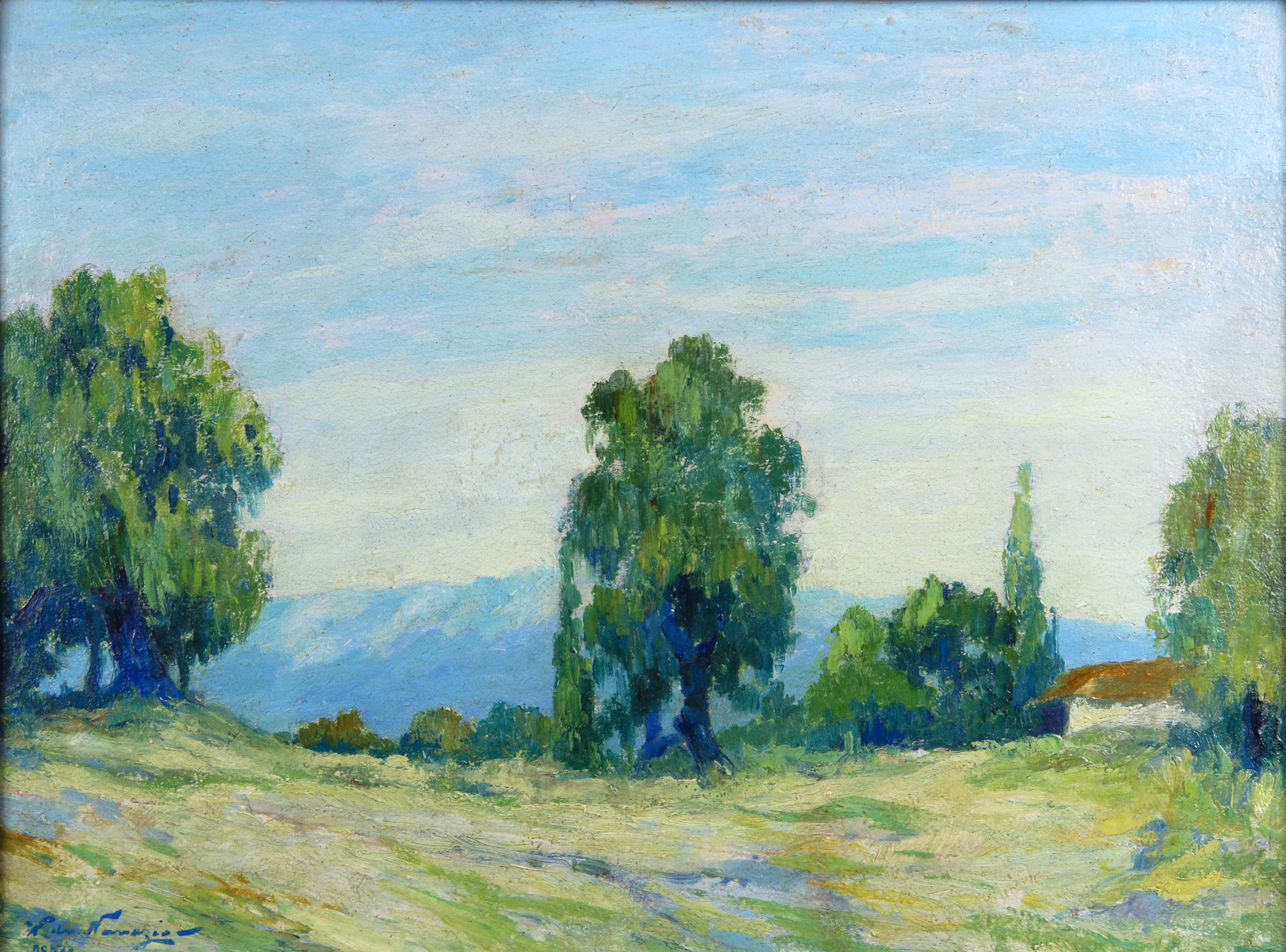 NAVAZIO, Walter de 'PAISAJE' 